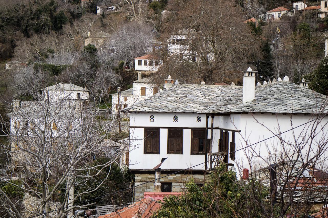 Archontiko Katerina Vyzitsa Exterior photo